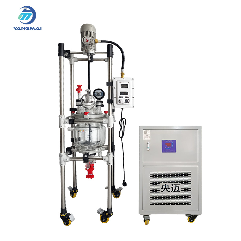 5L Glass Reactor with Heating Circulator